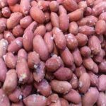 فله بادام زمینی آستانه5ک(آجیل)**