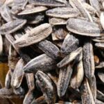 تخمه فله همنشین دورسفیدلیمواعلاء10ک(آجیل)***