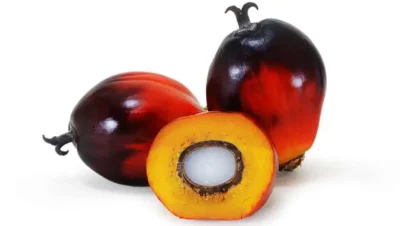 روغن پالم