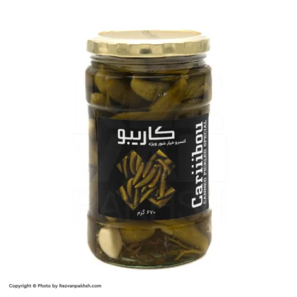 خیارشور چین چین ویژه670گ (ف)12ع**