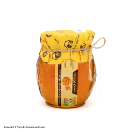 عسل کمیاب خمره ای(برگ گل)(578ف)6ع