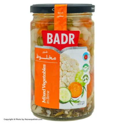 ترشی شور مخلوط بدر630گ(115ف)12ع**